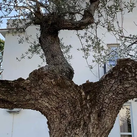 Casa vacanze Jolanda Città Sant'Angelo